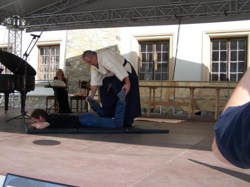 Dni Kultury Japońskiej- Krasiczyn, 08.2010. (M.Dłuski)